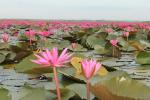 ภาพโดย(T.suwan)